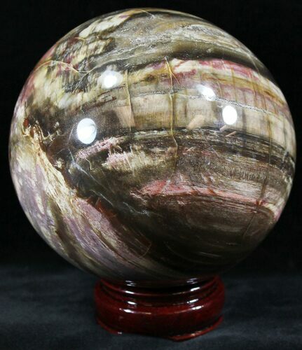 Colorful Petrified Wood Sphere #26619